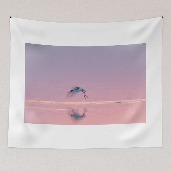 Item preview, Avocets in the evening light designed and sold by Ingo Gerlach.