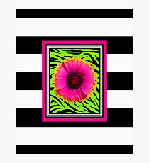 Pink & Green Wild Child Flower Photographic Print