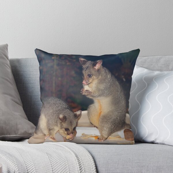 Artikelvorschau, Australian Brushtail Possum und Joey entworfen und verkauft von Geoffrey Higges.