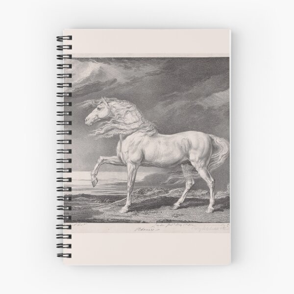 Item preview, Adonis, a gorgeous white horse illustration from 1824 designed and sold by ebrawne.