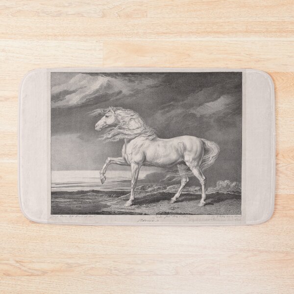 Item preview, Adonis, a gorgeous white horse illustration from 1824 designed and sold by ebrawne.