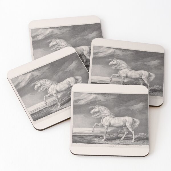 Item preview, Adonis, a gorgeous white horse illustration from 1824 designed and sold by ebrawne.