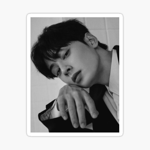 Cha Eun Woo Pegatina