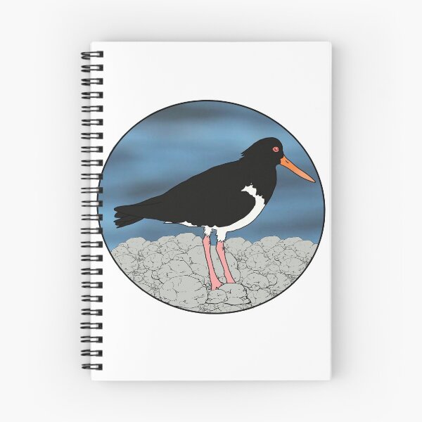 Item preview, Sooty Oystercatcher designed and sold by Jennifer Secker.
