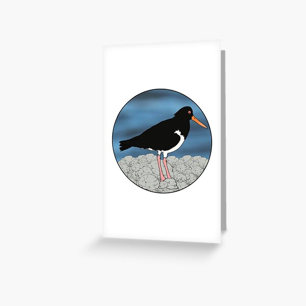 Sooty Oystercatcher Greeting Card