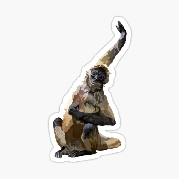 Item preview, B is for Black Handed Spider Monkey  designed and sold by thezoogirl.
