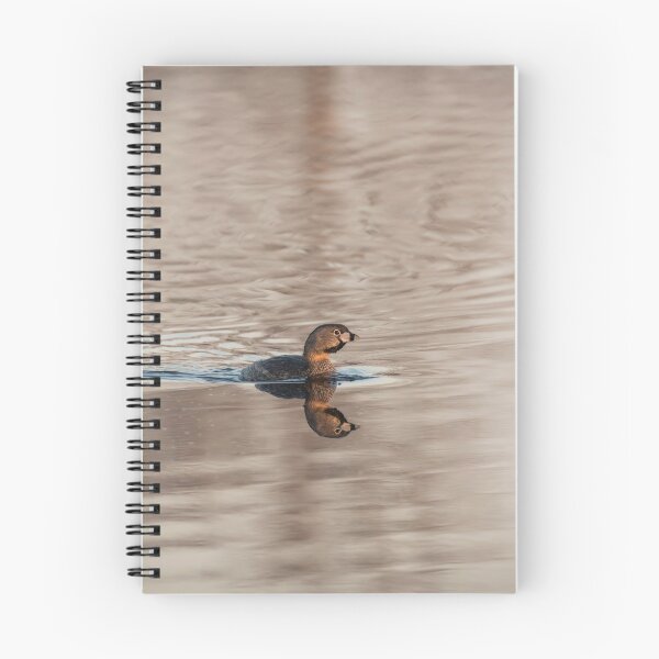 Item preview, Pied-billed grebe 2016-1 designed and sold by Thomasyoung.