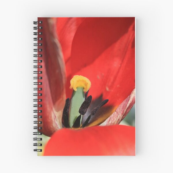 Item preview, Inside a Tulip designed and sold by GreyFeatherPhot.