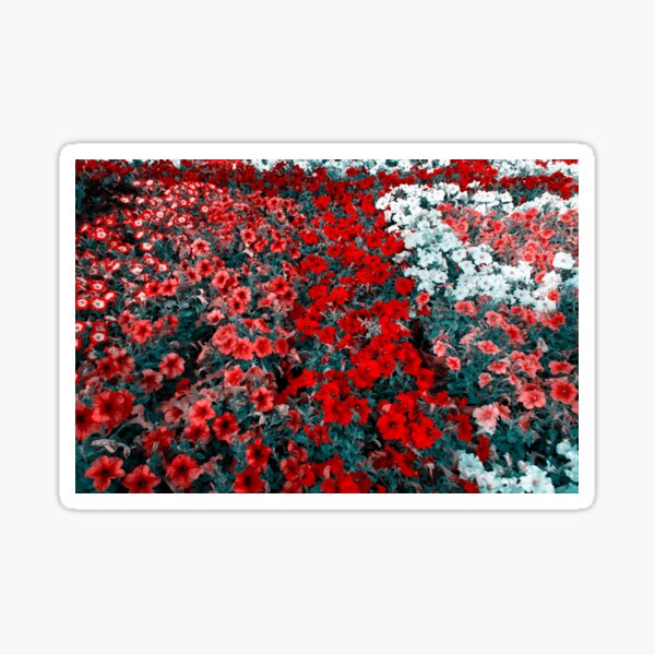 Item preview, Red and White Petunia Flowers designed and sold by mrhighsky.