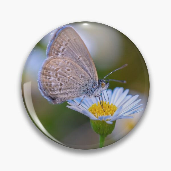 Item preview, Bokeh butterfly designed and sold by Cornishinoz.