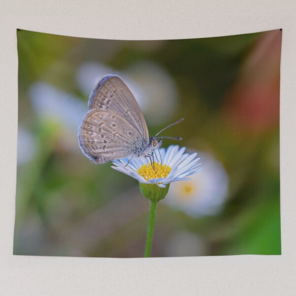 Item preview, Bokeh butterfly designed and sold by Cornishinoz.