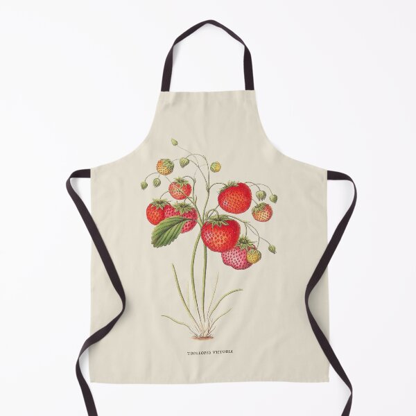 Item preview, Strawberry Antique Botanical Illustration designed and sold by Antiquated Art.
