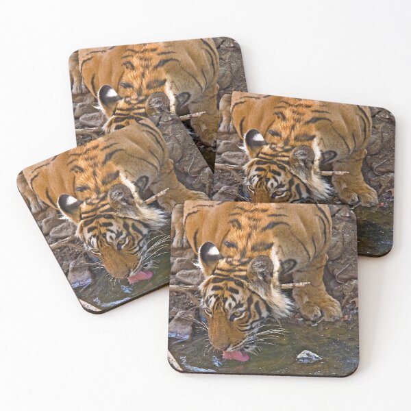 Item preview, Always alert designed and sold by Out there! Photography.