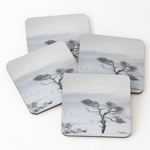 Item preview, 2.2.2021: Pine Tree at Marsh designed and sold by Petri Volanen.