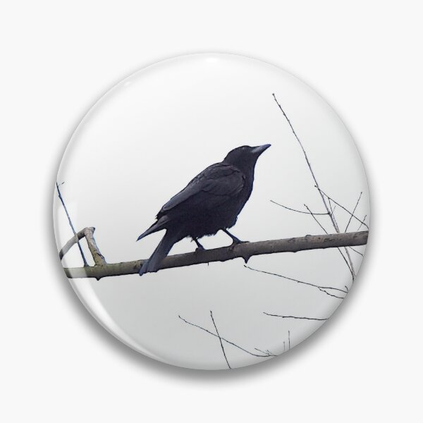 Item preview, TAMalloyPhoto - BLACK CROW designed and sold by TAMalloyPhoto.