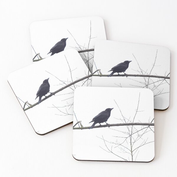 Item preview, TAMalloyPhoto - BLACK CROW designed and sold by TAMalloyPhoto.