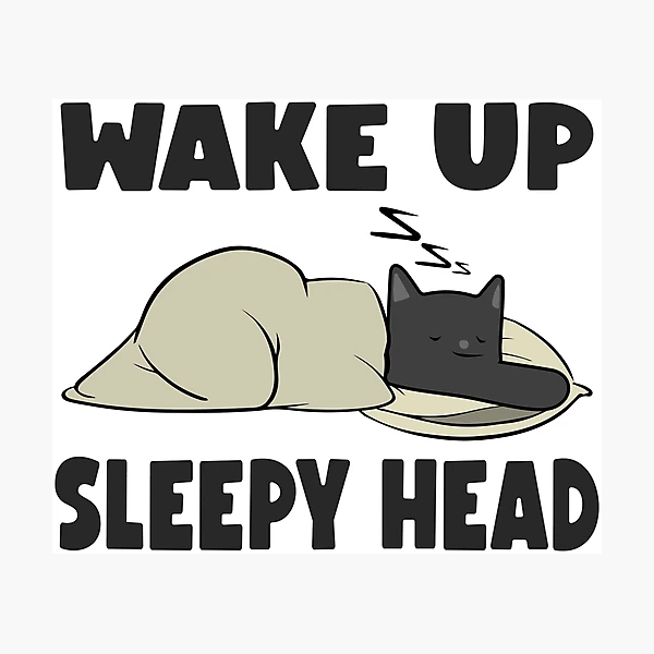 ジェームスリジィ　“WAKE UP SLEEPY HEADS” ジェームスリジィ “WAKE UP SLEEPY HEADS”