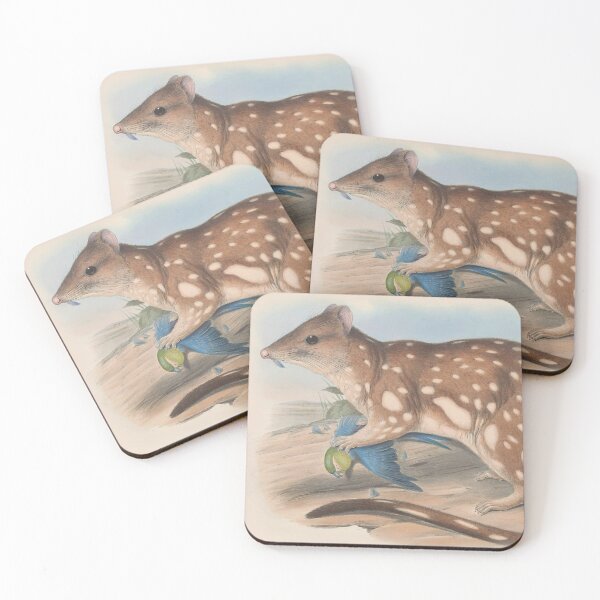 Artikelvorschau, Spotted Possum illustration Australian animals series entworfen und verkauft von Vintage Designs +.