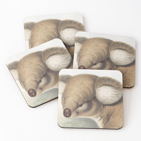 Item preview, Koala (closeup) illustration Australian animals series designed and sold by Vintage Designs +.
