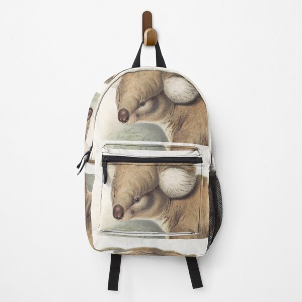 Item preview, Koala (closeup) illustration Australian animals series designed and sold by Vintage Designs +.