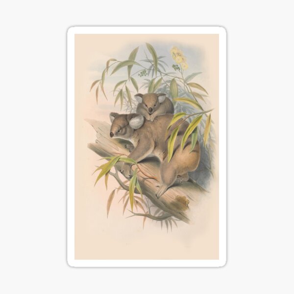 Item preview, Koala with baby illustration Australian animals series designed and sold by Vintage Designs +.