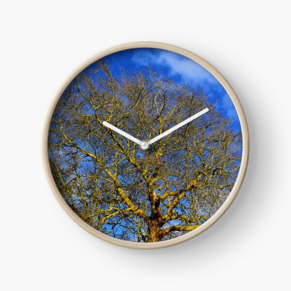 Yellow Old Tree Blue Sky Photo Clock