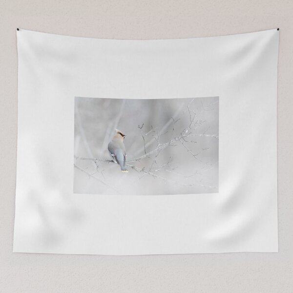 Item preview, Bohemian Waxwing designed and sold by James Cumming.