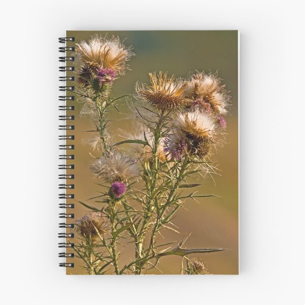Item preview, Spear Thistle (Cirsium vulgare) designed and sold by Out there! Photography.