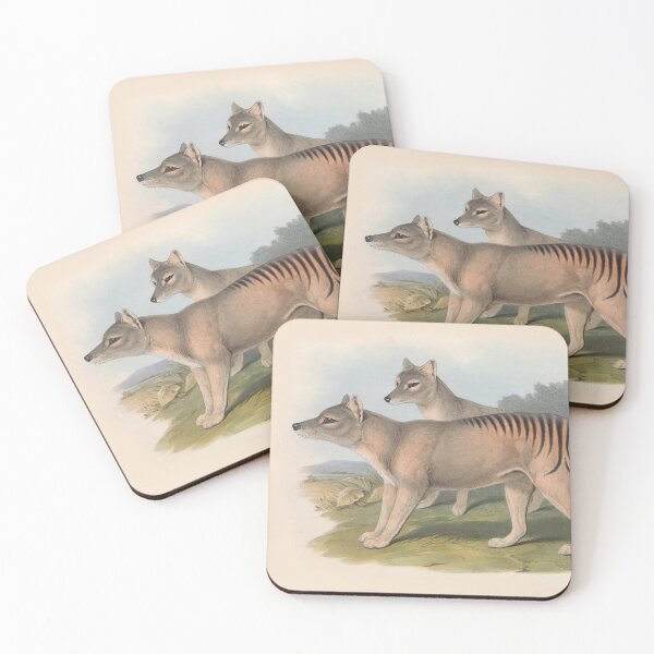 Artikelvorschau, Thylacine Tazmanian Tiger illustration Australian animals series entworfen und verkauft von Vintage Designs +.