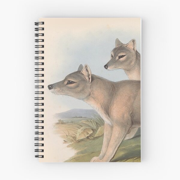 Item preview, Thylacine Tazmanian Tiger illustration Australian animals series designed and sold by Vintage Designs +.