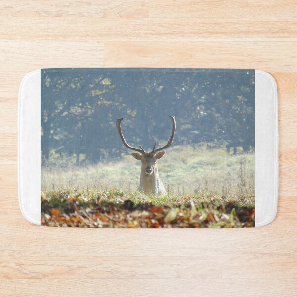Item preview, Peek-A- Boo - Fallow Deer Stag designed and sold by altonbear.