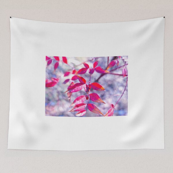 Item preview, Wildflower petals blooming on the roadside. Damyang, South Korea. designed and sold by human8891.