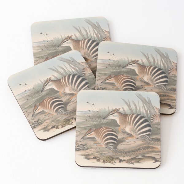 Artikelvorschau, Zebra Shrew illustration Australian animals series entworfen und verkauft von Vintage Designs +.
