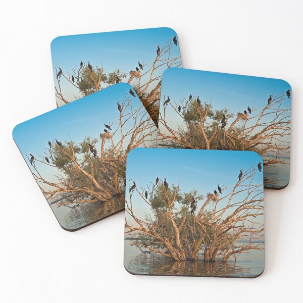 Item preview, Cormorants' gathering at sunset designed and sold by Out there! Photography.