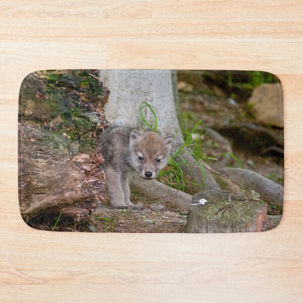 Item preview, Arctic Wolf Pup designed and sold by Michael Cummings.