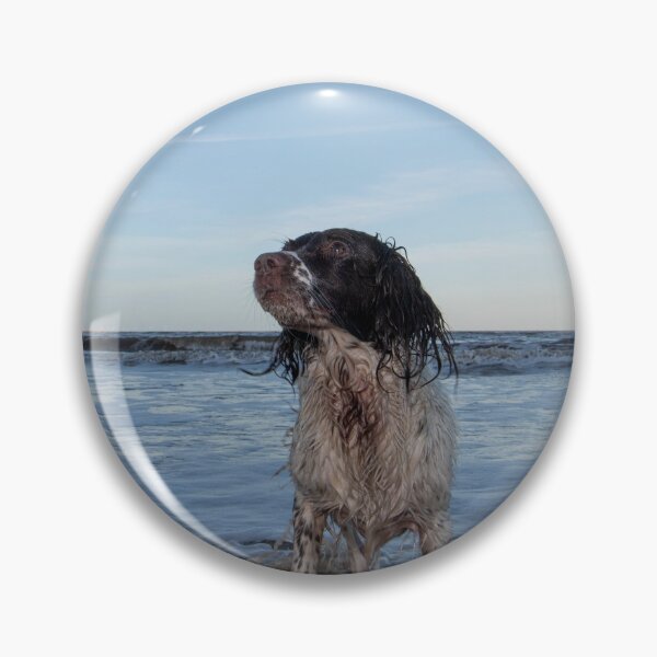 Item preview, English Springer Spaniel designed and sold by RobWalkley.
