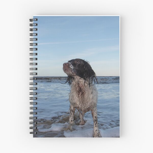 Item preview, Springer Spaniel Inglés designed and sold by RobWalkley.