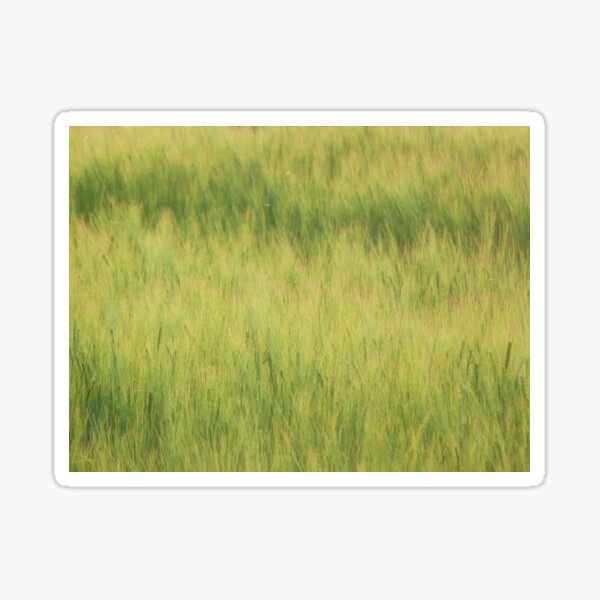Item preview, Barley designed and sold by Pebbles on the Beach.