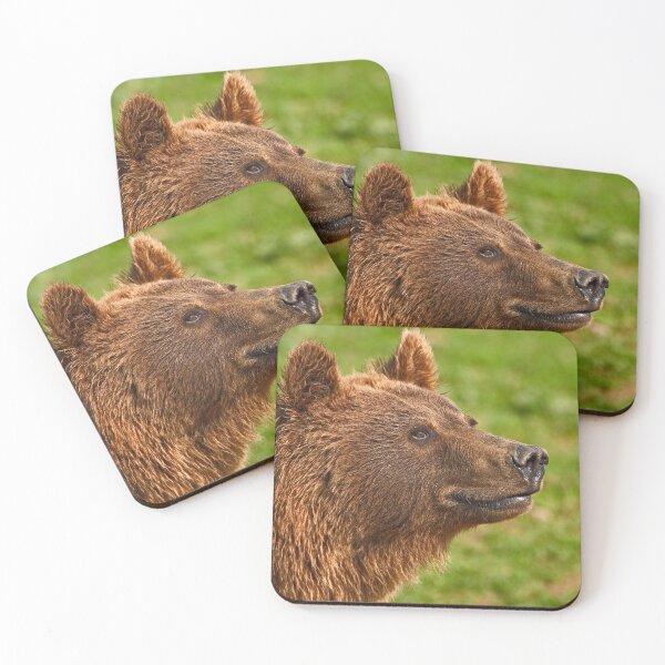 Item preview, Teddy bear designed and sold by Out there! Photography.