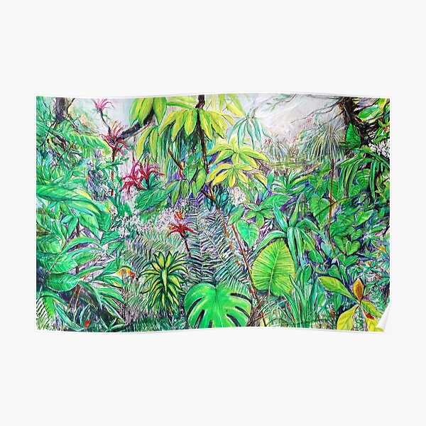 rainforest Poster