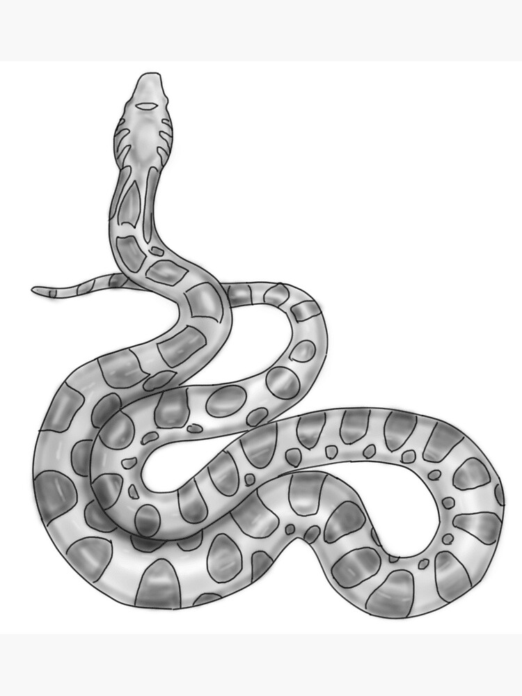 "black and white snake" Sticker for Sale by pentaenix Redbubble