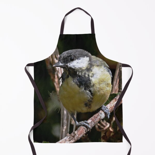 Item preview, r1445/ new finition 2021 Mésange charbonniére  -  5 t (c)(h) by Olao-Olavia / Okaio Créations designed and sold by o.okaïo.