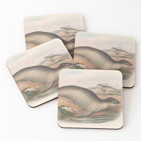 Artikelvorschau, seal illustration Australian animals series entworfen und verkauft von Vintage Designs +.