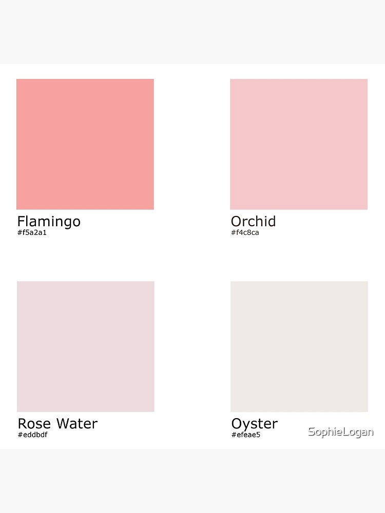 Pink Rose Colour Scheme, Shades of pink colour palette