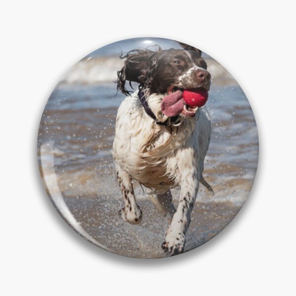 Item preview, English Springer spaniel designed and sold by RobWalkley.