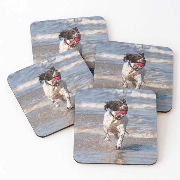 Item preview, English Springer spaniel designed and sold by RobWalkley.