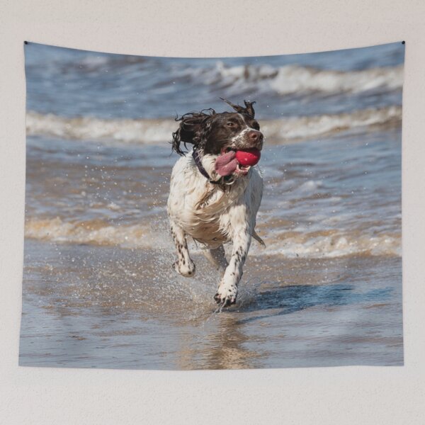 Item preview, English Springer spaniel designed and sold by RobWalkley.