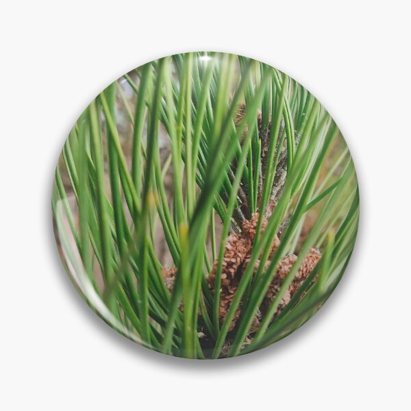 Item preview, Green Pine Needles  designed and sold by nelllkata.