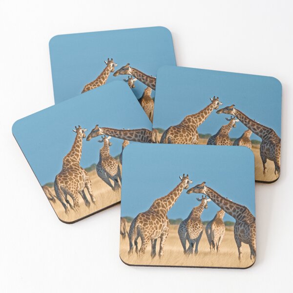 Item preview, Giraffes' gathering designed and sold by Out there! Photography.