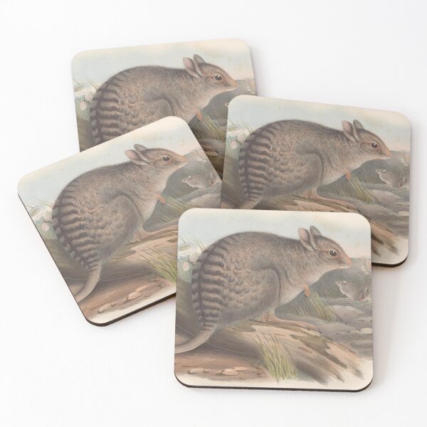 Artikelvorschau, Striped rat illustration Australian animals series entworfen und verkauft von Vintage Designs +.